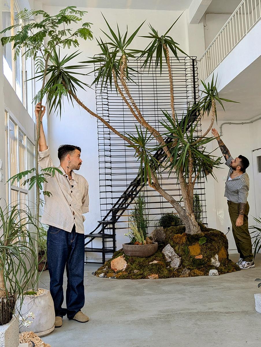 Planted Ceramics, Living Landscapes 21