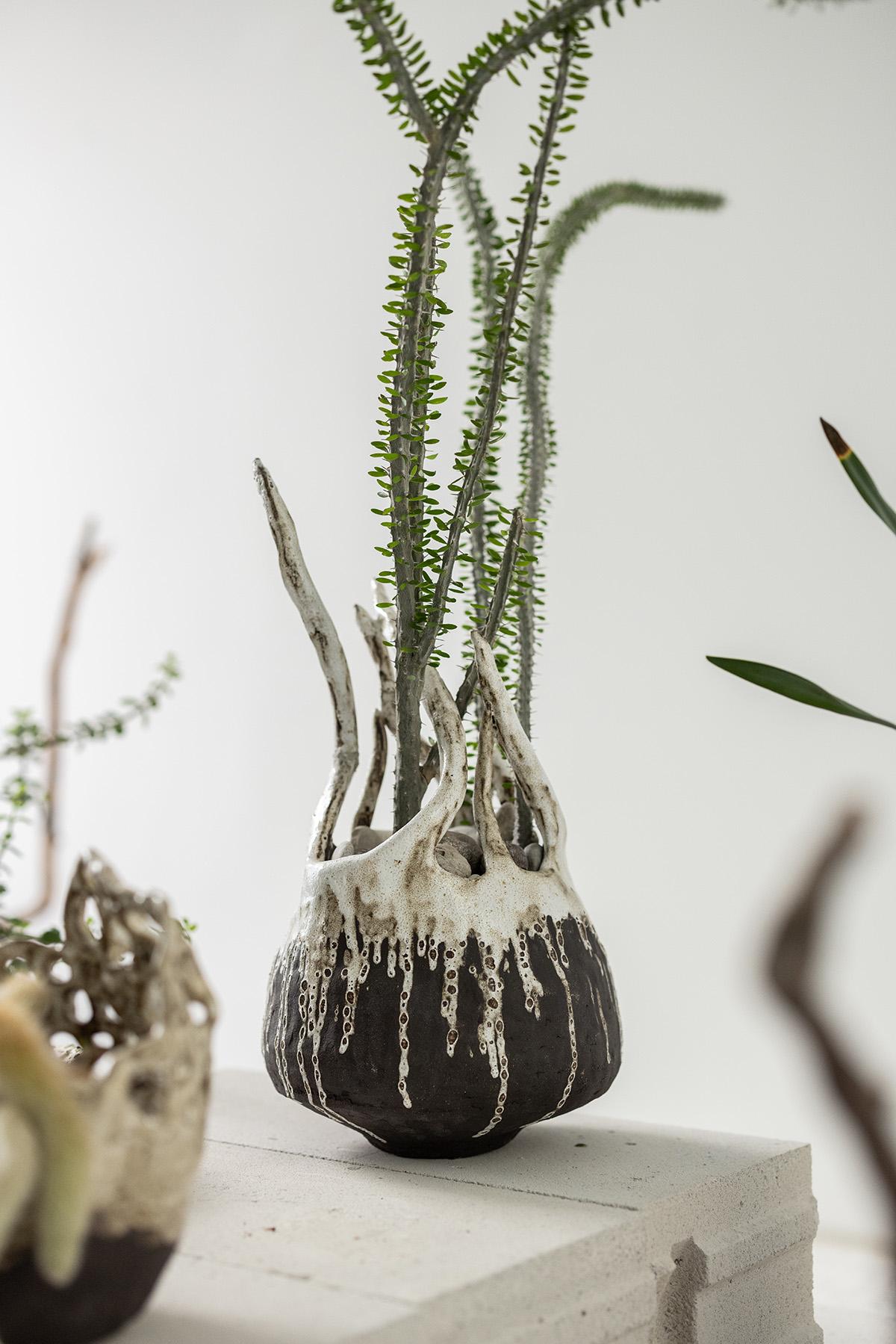 Planted Ceramics, Living Landscapes 20