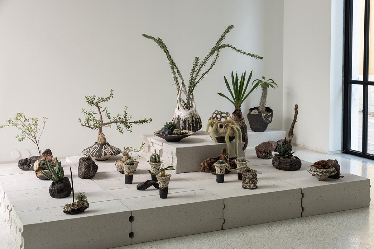 Planted Ceramics, Living Landscapes 11