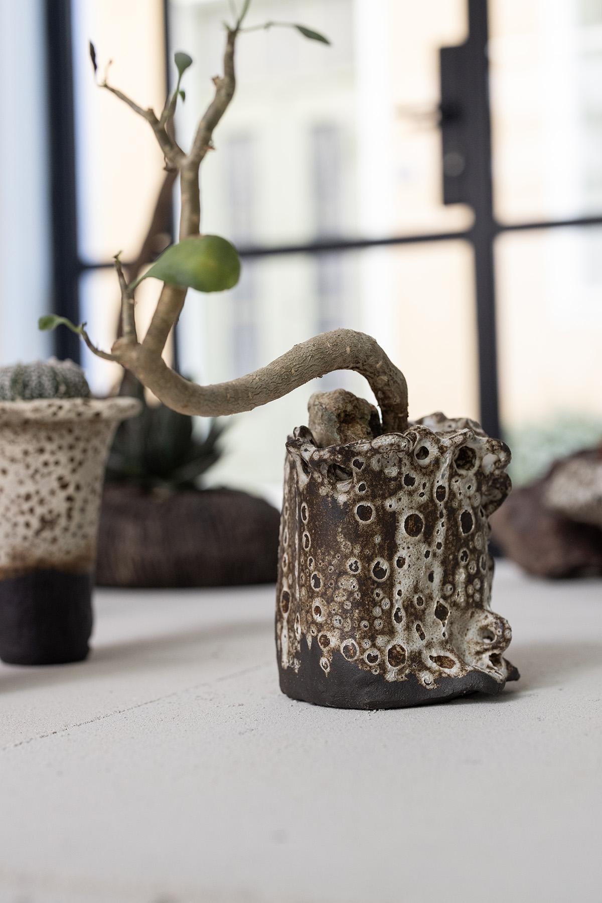 Planted Ceramics, Living Landscapes 4