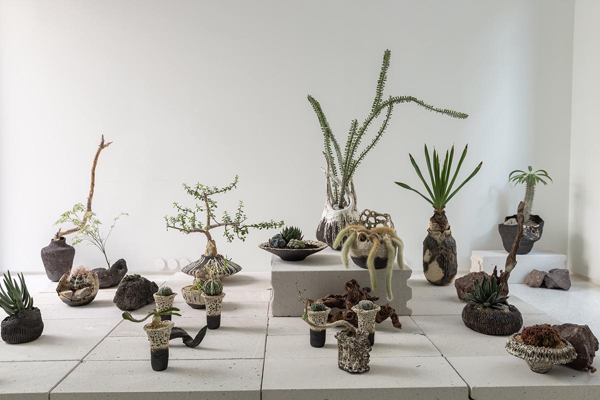 Planted Ceramics, Living Landscapes 0