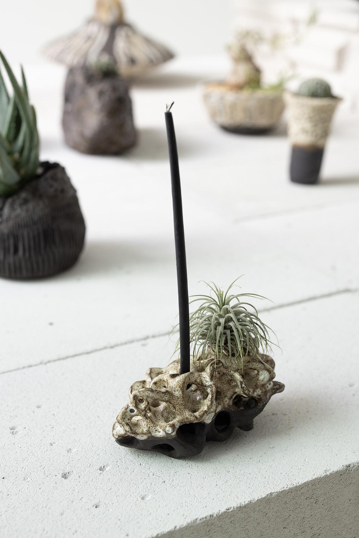 Planted Ceramics, Living Landscapes 10