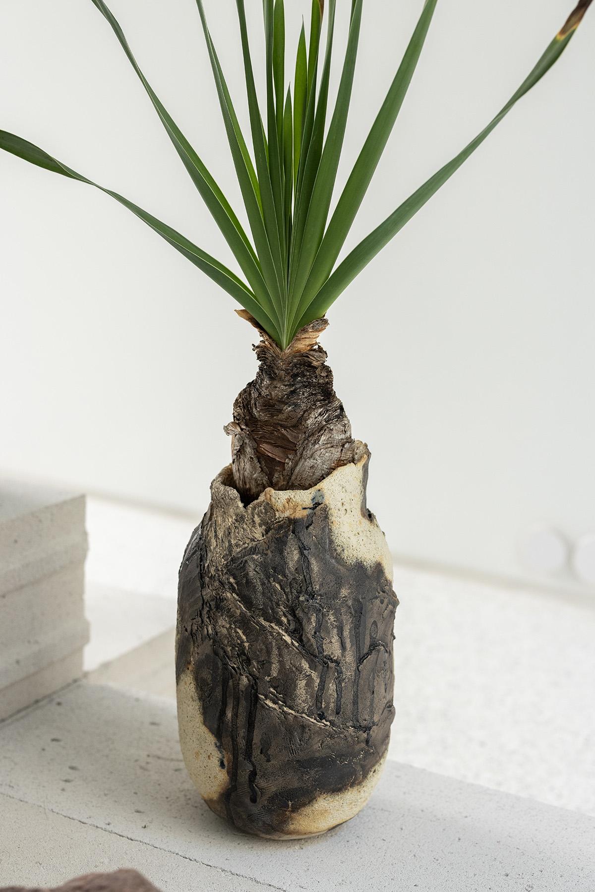 Planted Ceramics, Living Landscapes 19