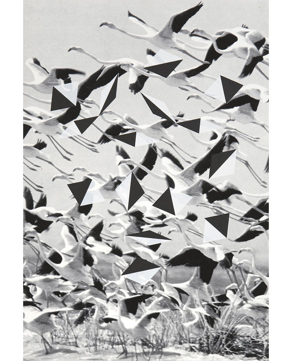 Rowena Hughes & Αthanasios Argianas 16